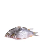 deshi-sarputi-fish-30-gm-500-gm