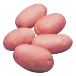 lal-alu-red-potato-cardinal-50-gm-1-kg